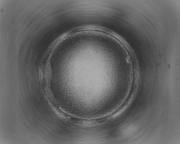 X0000081320857200701111332