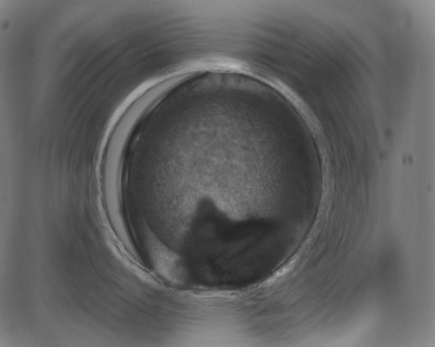 X0000081320864200701111332