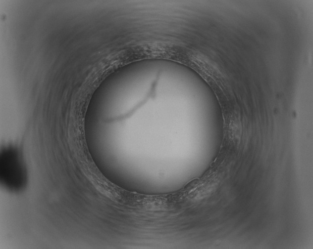 X0000081320865200701111331