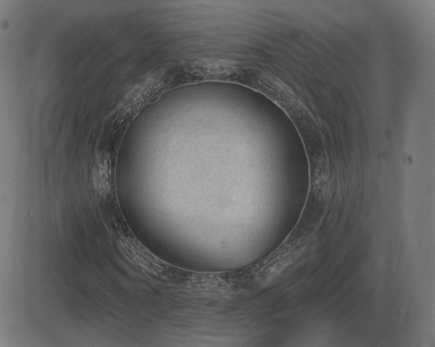 X0000081320866200701111331