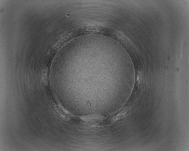 X0000081320867200701111331