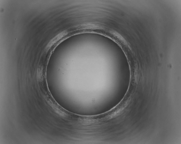 X0000081320873200701111331