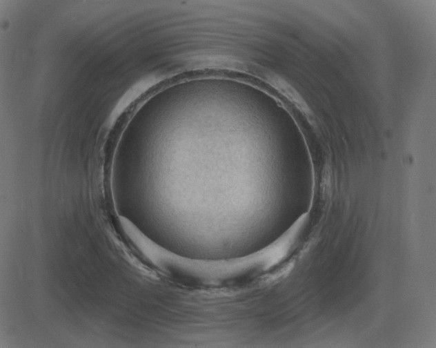 X0000081320877200701111331