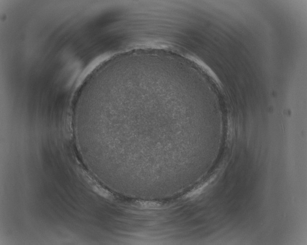 X0000081320878200701111331