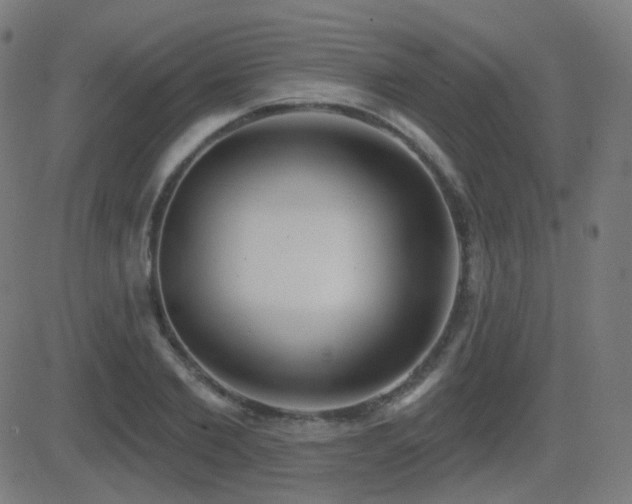 X0000081320885200701111331