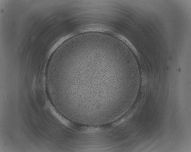 X0000081320890200701111331