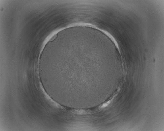 X0000081320911200701111330