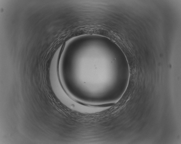 X0000081320913200701111329