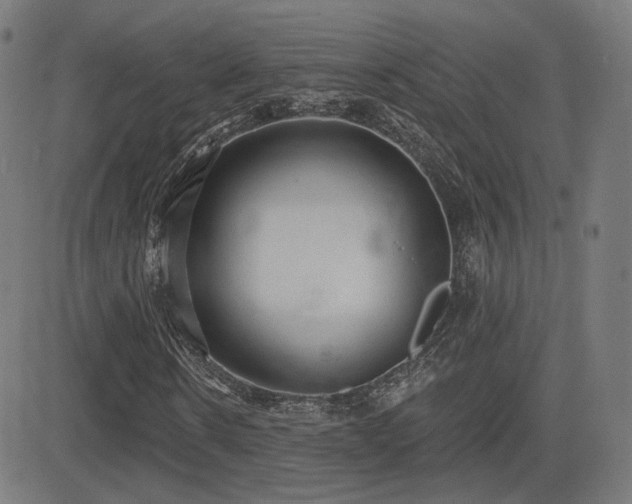 X0000081320914200701111329