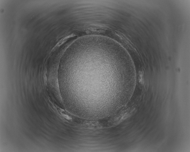 X0000081320915200701111329