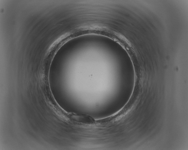 X0000081320922200701111330