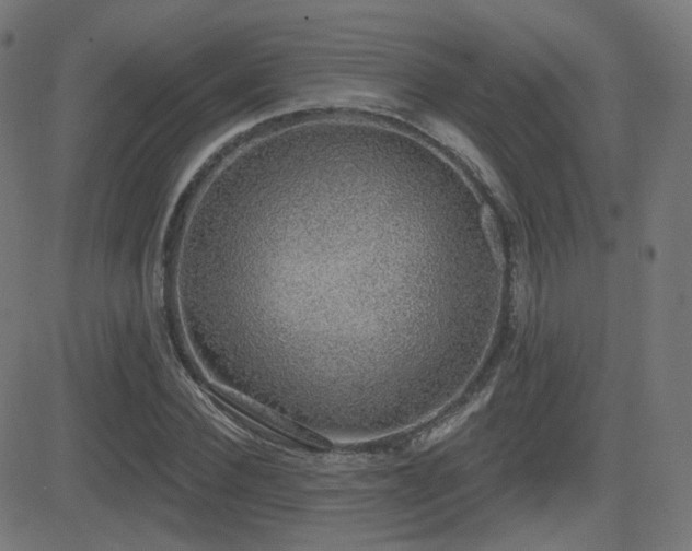 X0000081320924200701111330