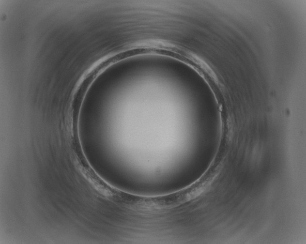 X0000081320931200701111330