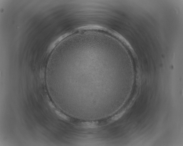 X0000081320937200701111330