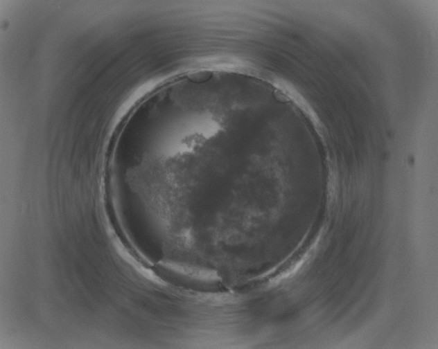 X0000081320941200701111330