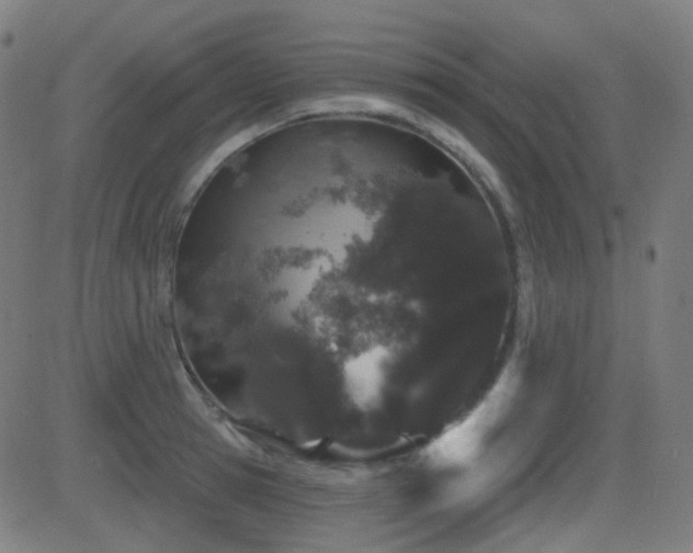 X0000081320945200701111330