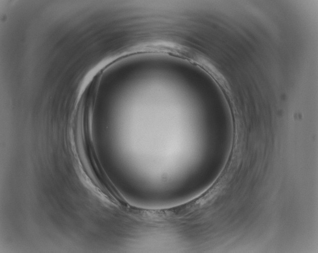 X0000081320960200701111330