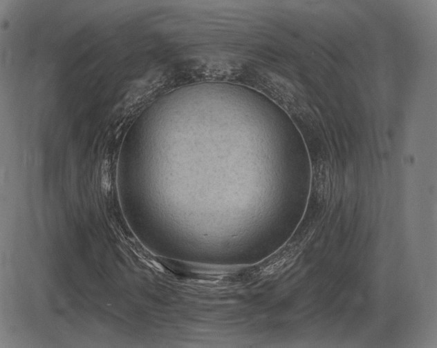 X0000081320962200701111329