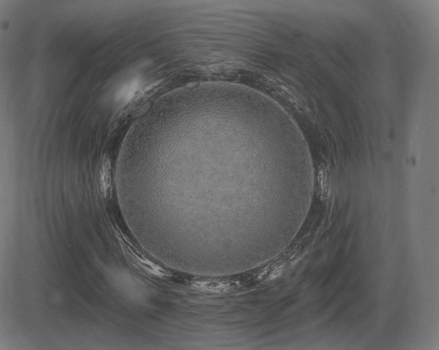 X0000081320963200701111329