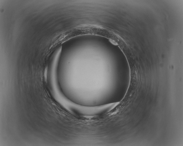 X0000081320965200701111329