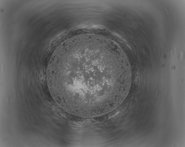 X0000081320966200701111329