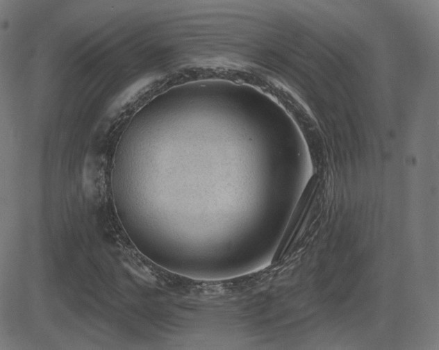 X0000081320968200701111329