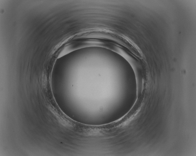 X0000081320969200701111329