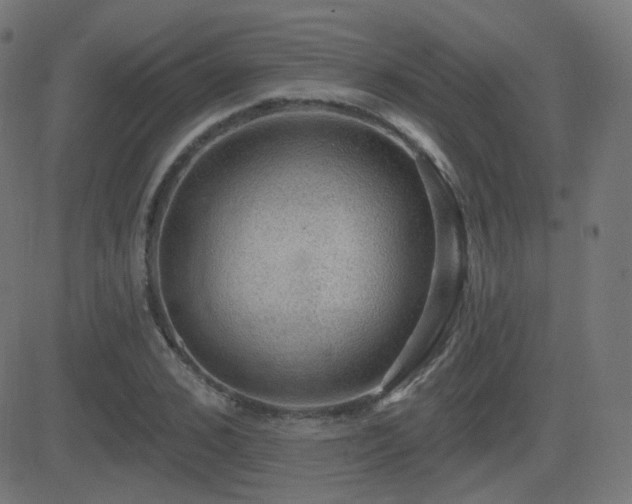 X0000081320976200701111329