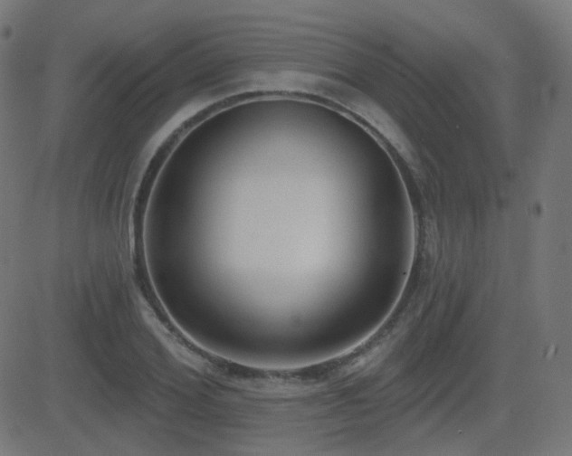 X0000081320980200701111329
