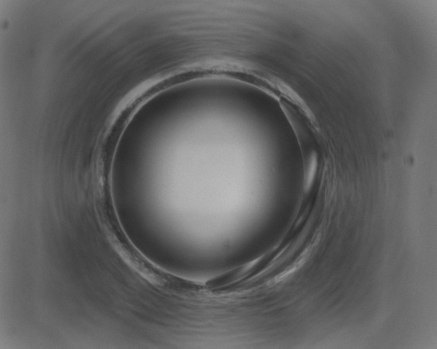 X0000081320981200701111329
