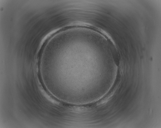 X0000081320987200701111329