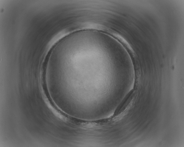 X0000081320991200701111329