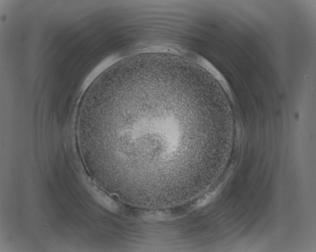 X0000081321002200701111329