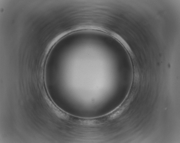X0000081321004200701111329