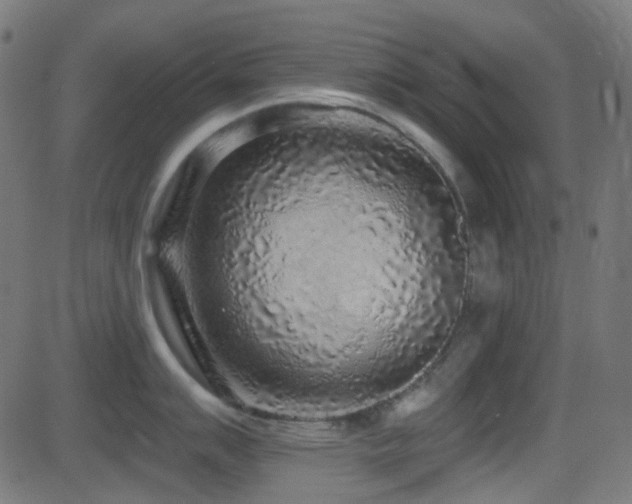 X0000081321007200701111329