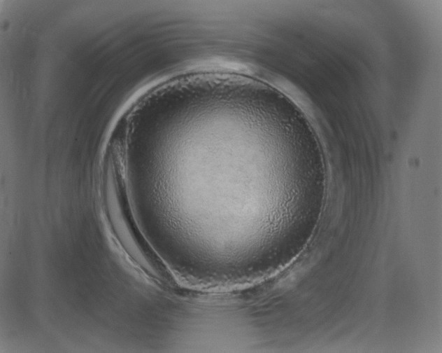 X0000081321008200701111329