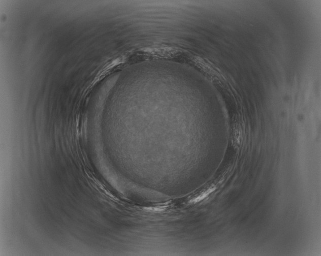X0000081321010200701111328