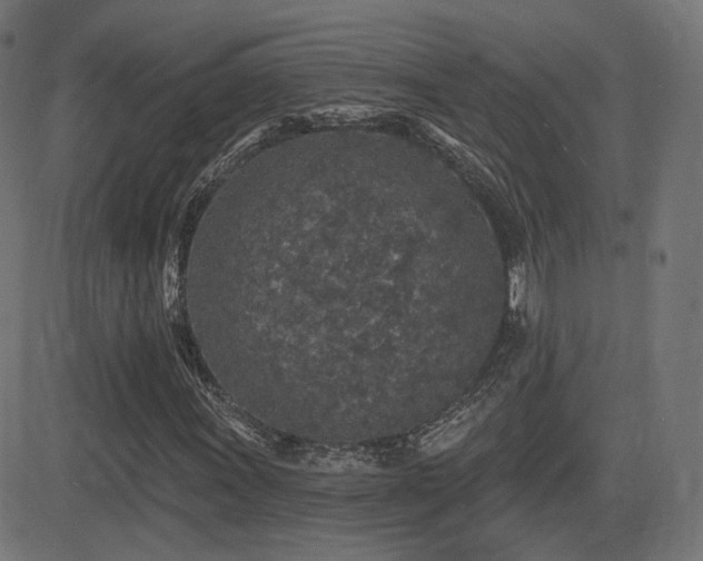 X0000081321011200701111328