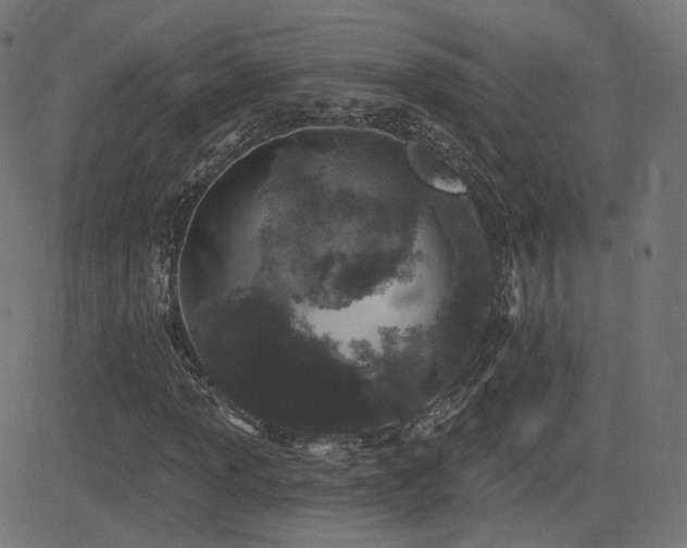 X0000081321013200701111328