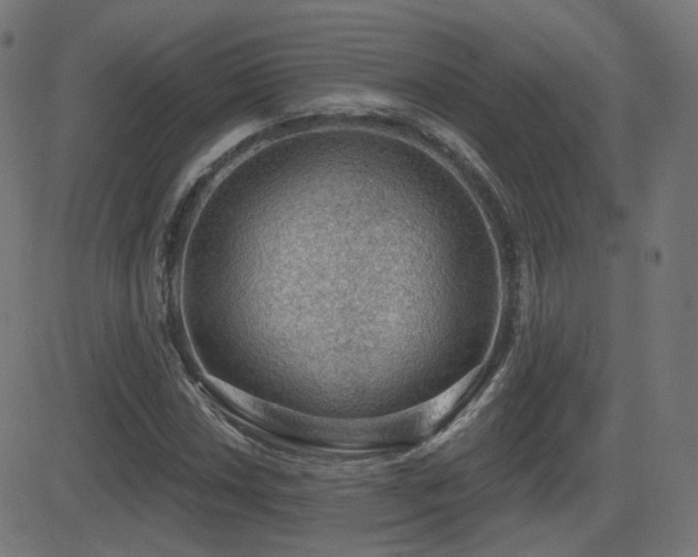 X0000081321018200701111328