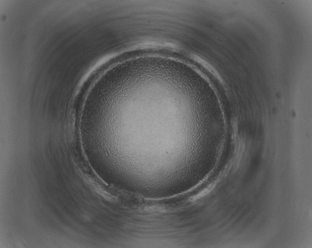 X0000081321021200701111328