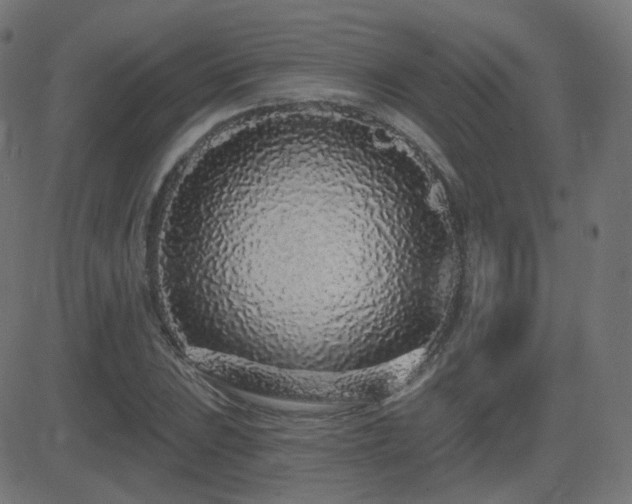 X0000081321023200701111328