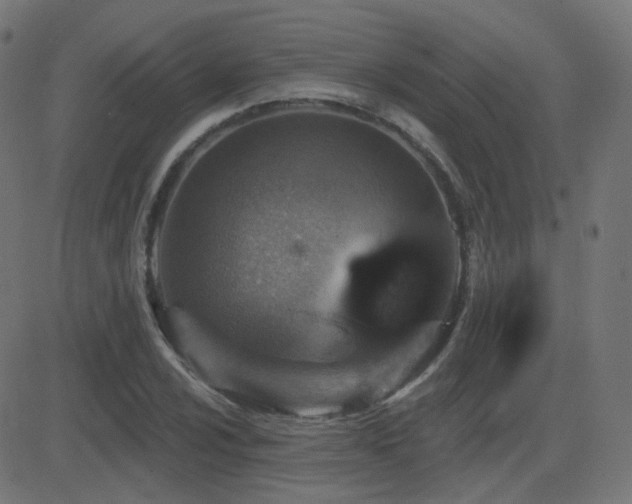 X0000081321024200701111328