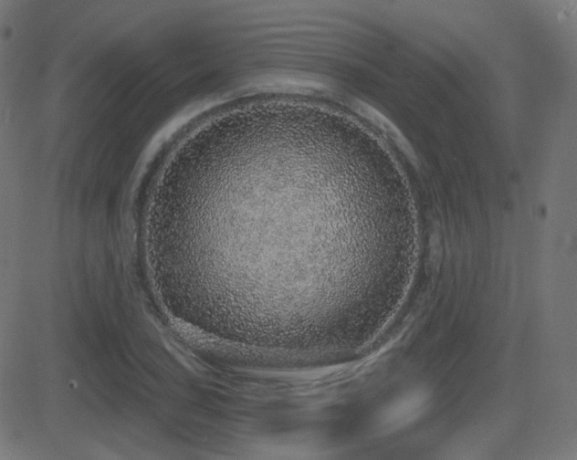 X0000081321027200701111328