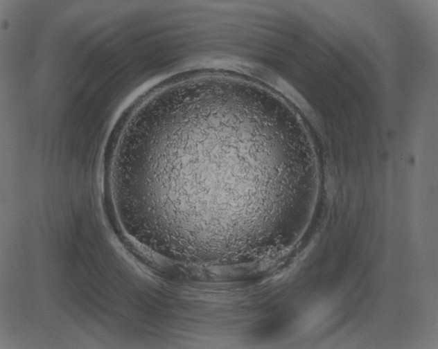 X0000081321028200701111328