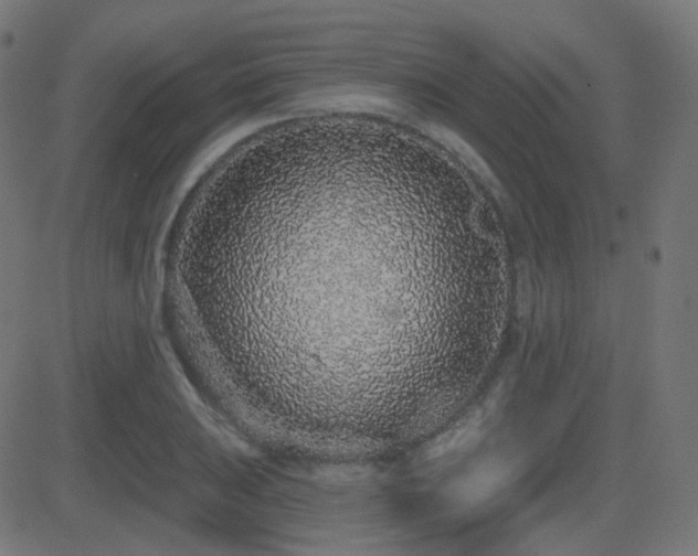 X0000081321031200701111328