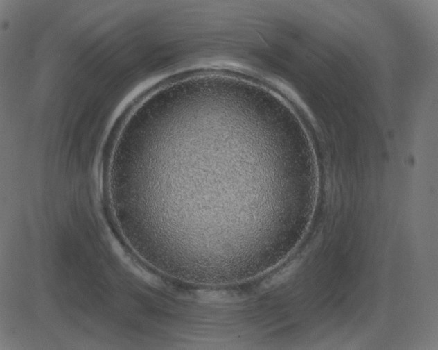 X0000081321032200701111328
