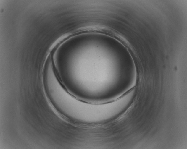 X0000081321034200701111328