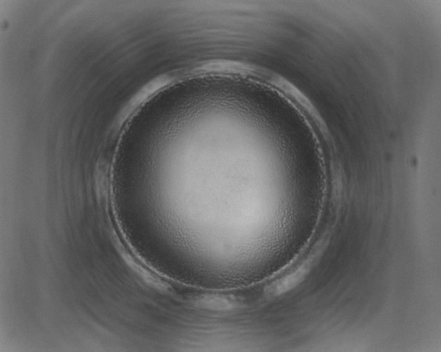 X0000081321049200701111328