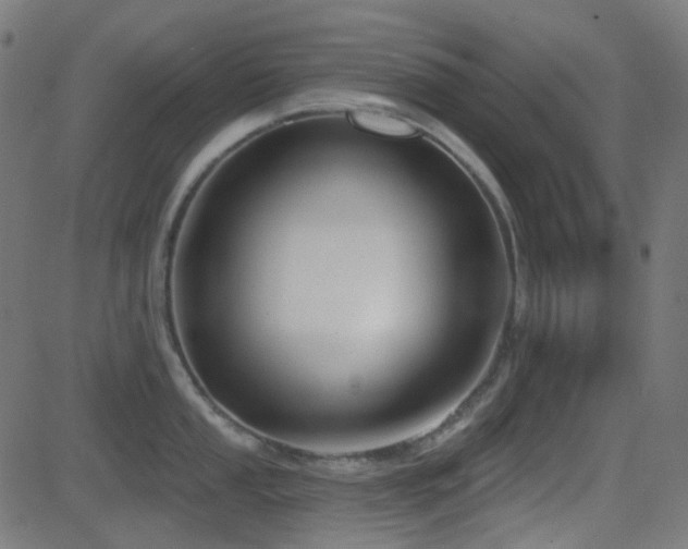 X0000081321053200701111328